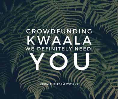 kwaala-blog-julie-poupat-crowdfunding-startup-voyage-location-materiel